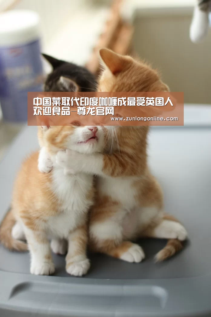 中国菜取代印度咖喱成最受英国人欢迎食品-尊龙官网(图3) 尊龙官网