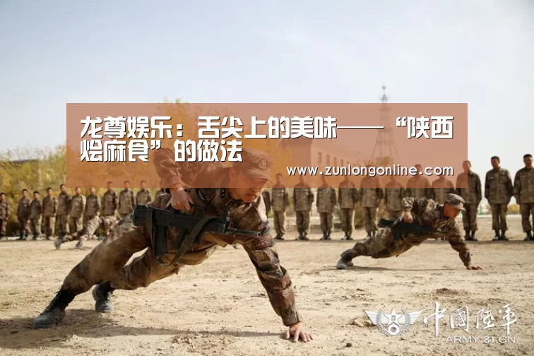 尊龙官网