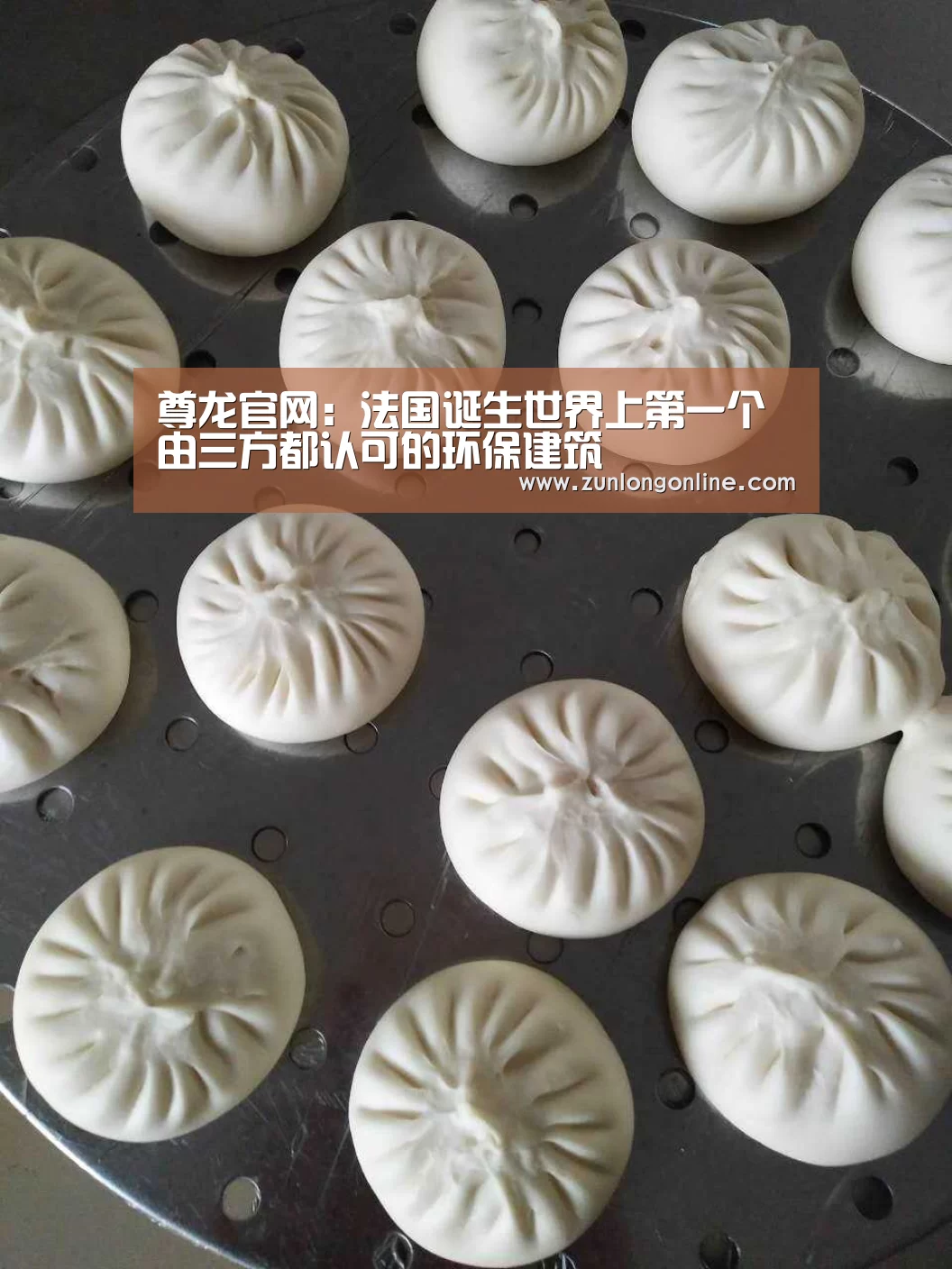 龙尊娱乐