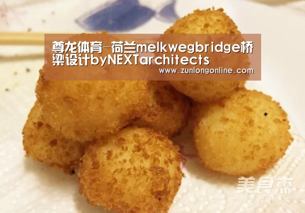 尊龙体育-荷兰melkwegbridge桥梁设计byNEXTarchitects(图2) 尊龙体育