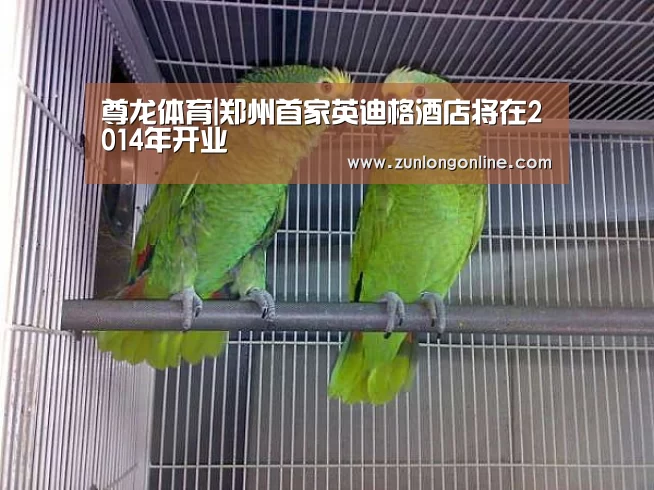尊龙体育|郑州首家英迪格酒店将在2014年开业(图1) 尊龙体育