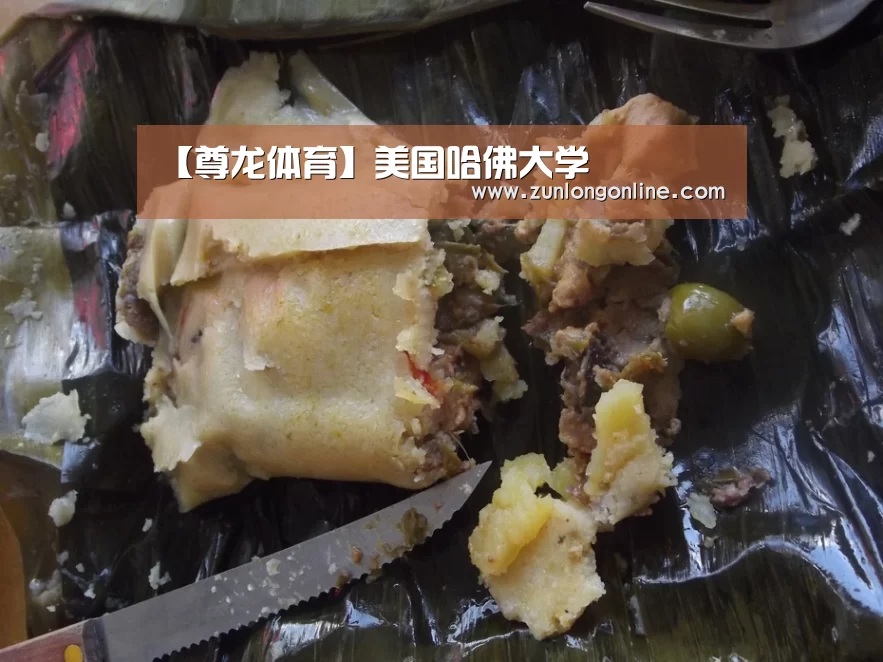 【尊龙体育】美国哈佛大学(图2) 尊龙凯时体育