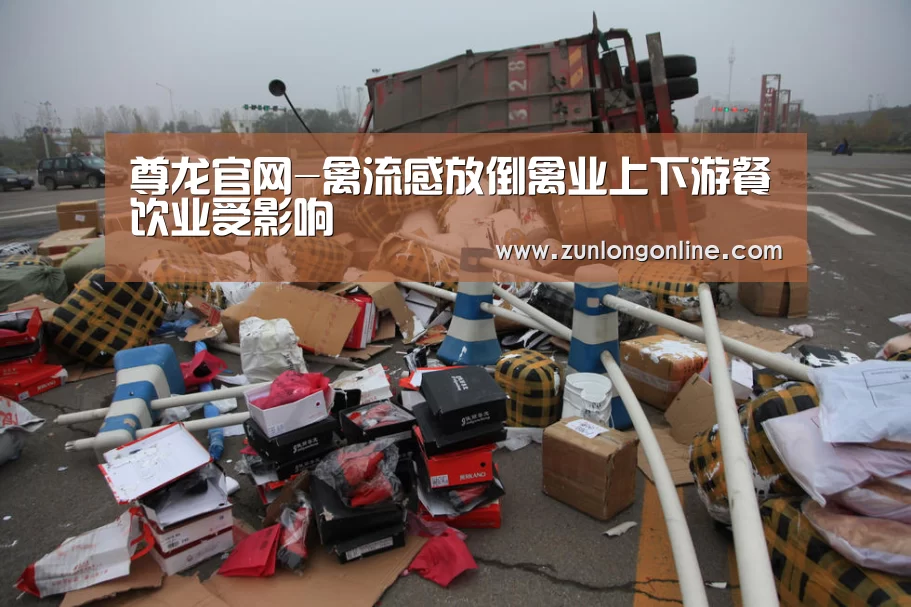 尊龙官网-禽流感放倒禽业上下游餐饮业受影响(图1) 龙尊娱乐