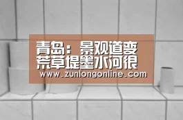 青岛:景观道变荒草堤墨水河很“受伤”|尊龙凯时体育(图1) 尊龙官网