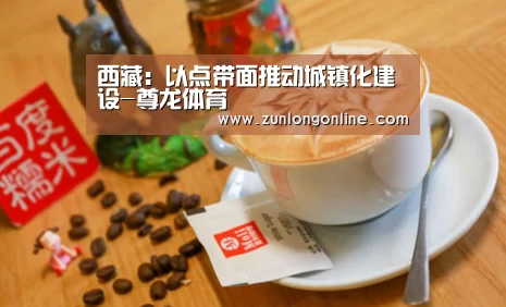 西藏:以点带面推动城镇化建设-尊龙体育(图2) 尊龙体育